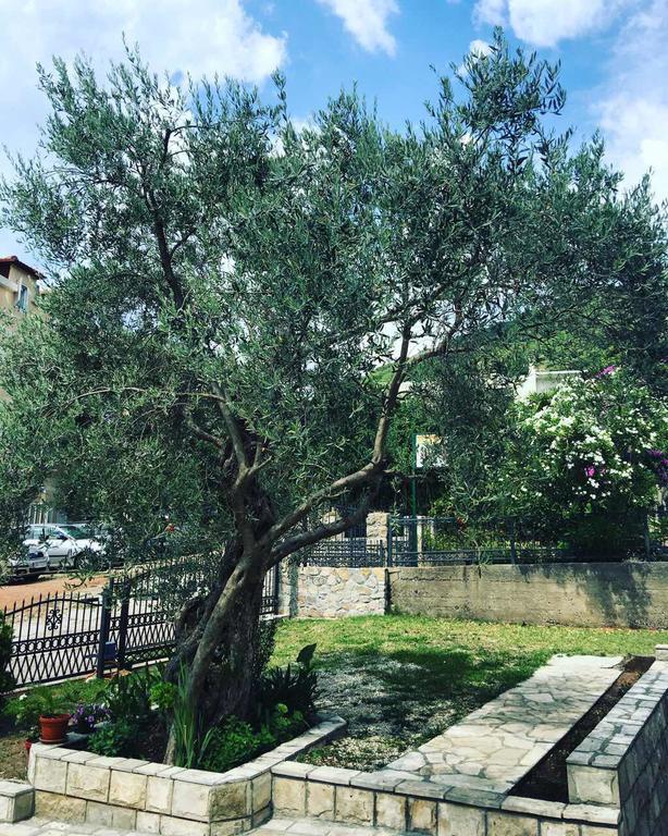 Apartments Medin Danilo Petrovac Екстериор снимка